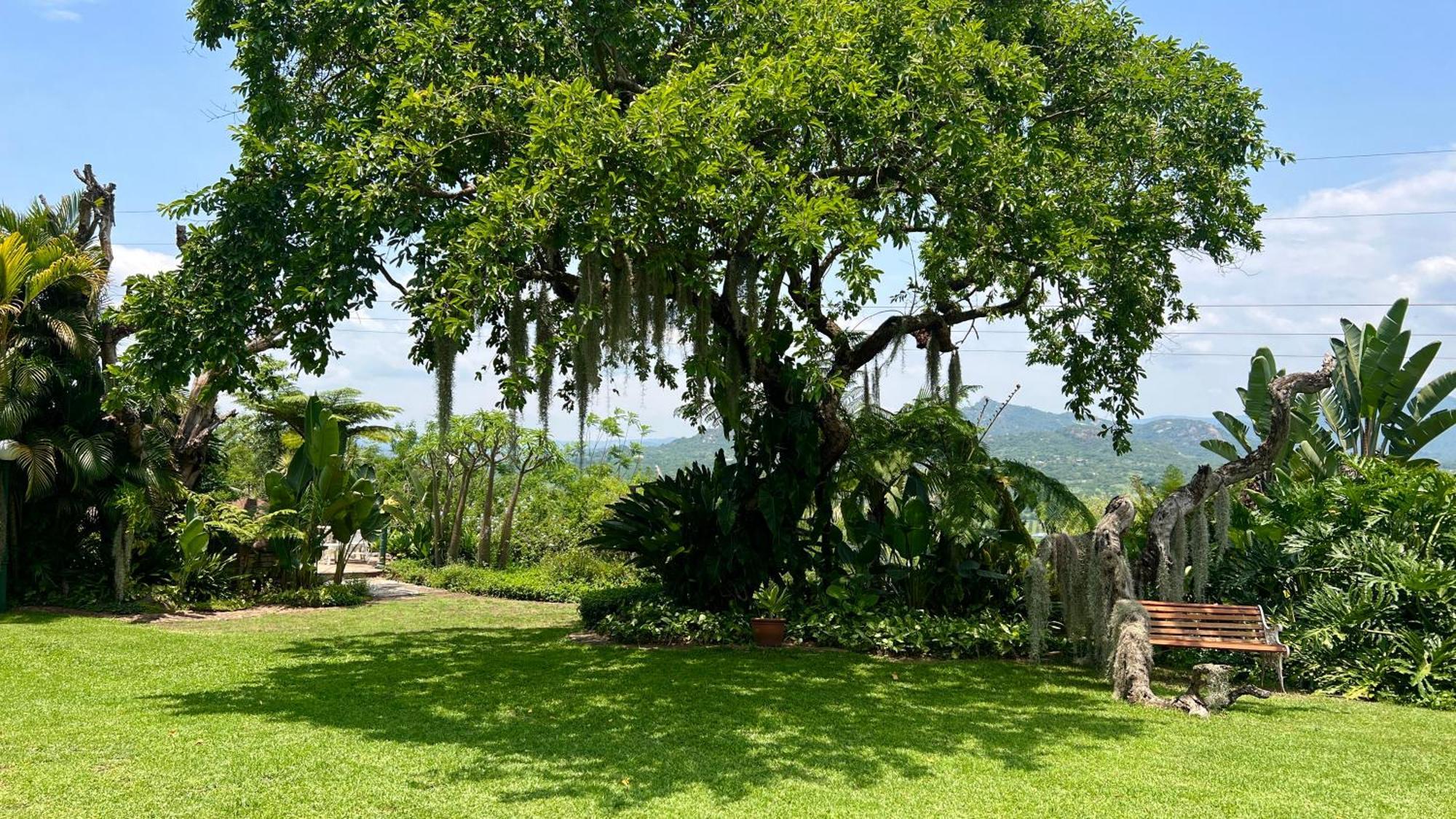 Loerieroep Estate - Mountainview Selfcatering Accommodation Nelspruit Mbombela Eksteriør bilde