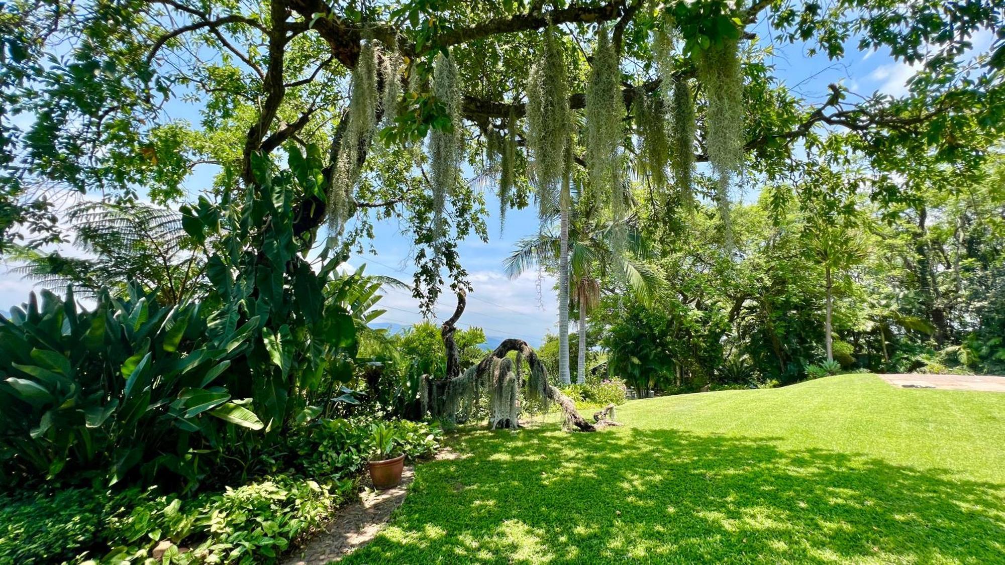 Loerieroep Estate - Mountainview Selfcatering Accommodation Nelspruit Mbombela Eksteriør bilde